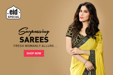 Buy the best saree online 2016